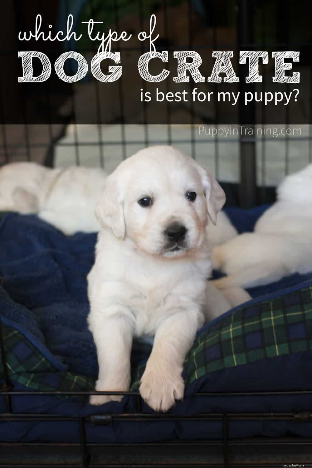 Choosing the Best Dog Crate for Your Puppy: Expert Guidance