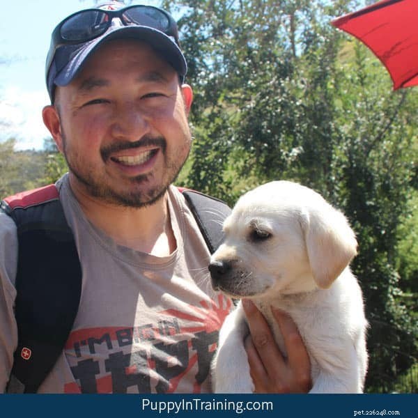 Guide Your New Puppy Through a Smooth First Night at Home
