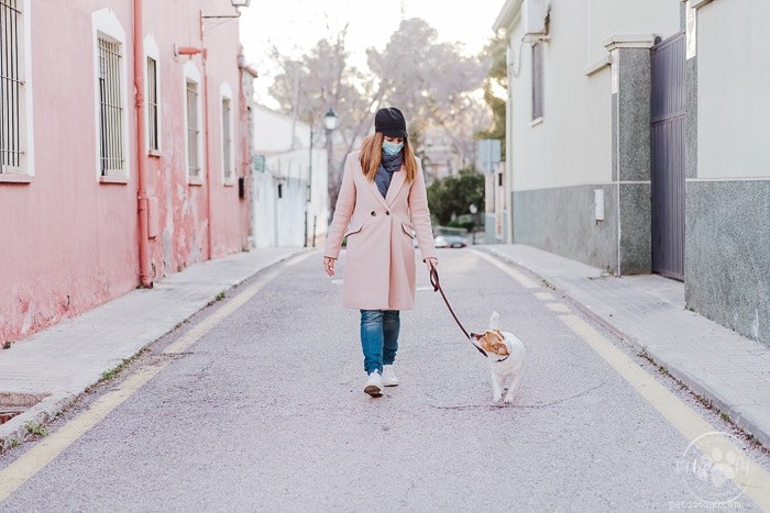 Does COVID-19 Affect Dogs? Expert Insights on the Virus’s Impact on Canine Health