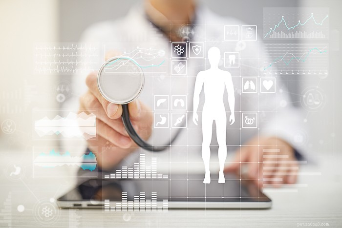 Telemedicine for Veterinary Practices: COVID-19 Insights & Best Practices