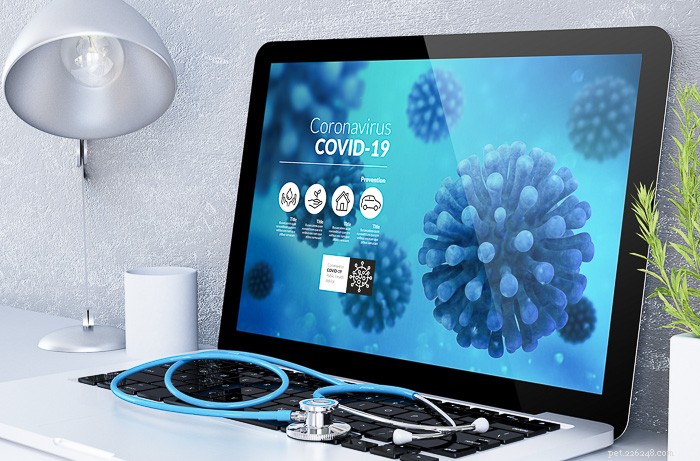 Telemedicine for Veterinary Practices: COVID-19 Insights & Best Practices
