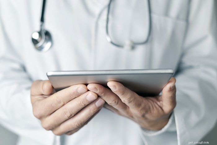 Telemedicine for Veterinary Practices: COVID-19 Insights & Best Practices