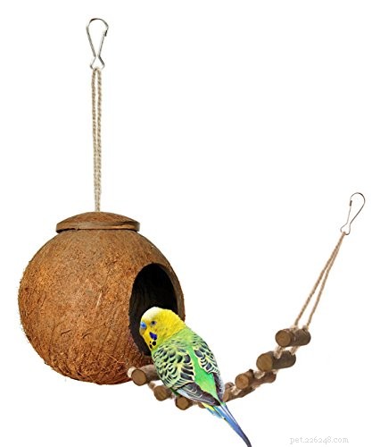 Parakeet Sleep Patterns & Vet‑Recommended Cage Essentials