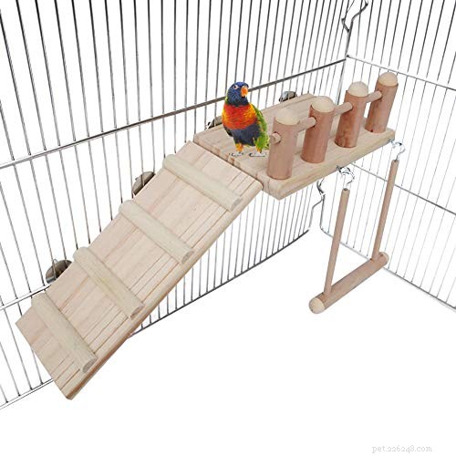 Parakeet Sleep Patterns & Vet‑Recommended Cage Essentials