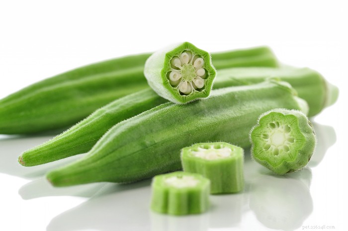 Okra for Dogs: Safe, Nutritious, or Not? Your Ultimate Guide