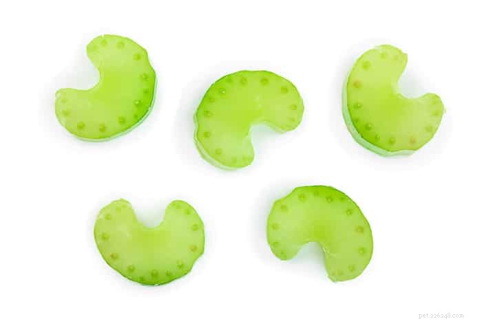 Are Chickens Safe to Feed Celery? Nutritional Benefits & Tips