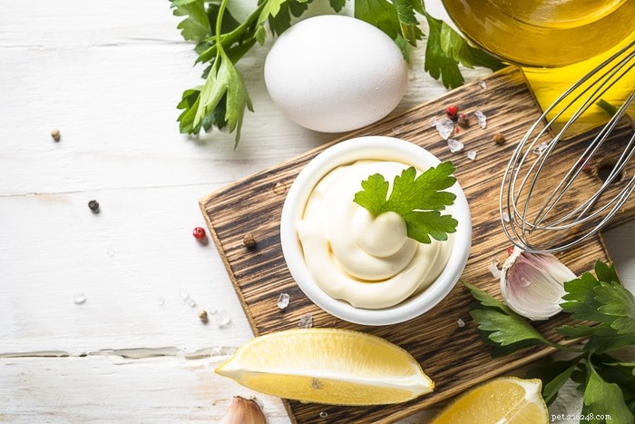 Is Mayonnaise Safe for Dogs? Vet-Approved Insights