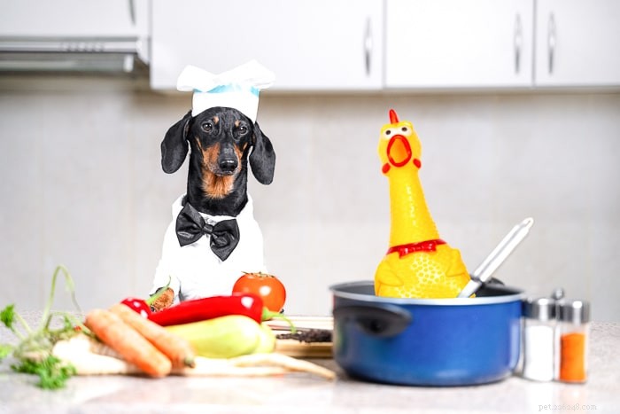 Vet-Approved Low Sodium Dog Food for Heart & Kidney Health