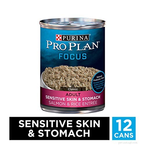 Vet-Approved Low Sodium Dog Food for Heart & Kidney Health