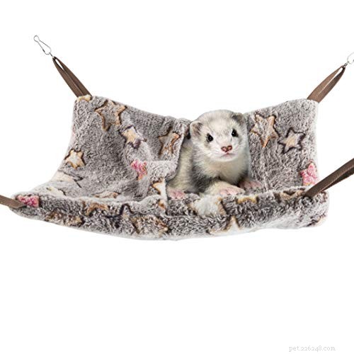 Ferrets: Nighttime or Daytime? Understanding Their True Activity Patterns
