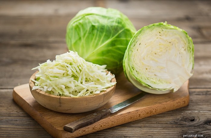 Can Bearded Dragons Eat Cabbage? Expert Guidance on Safety and Nutrition