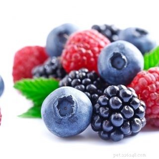 Can Bearded Dragons Safely Eat Raspberries? A Pet Care Guide