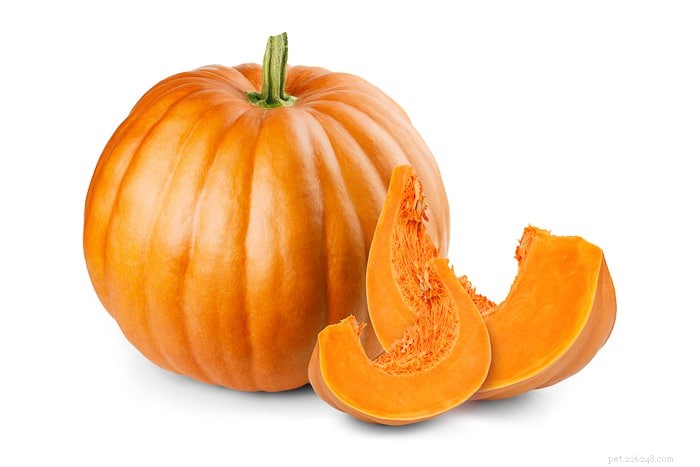 Is Pumpkin Safe for Dogs? Expert Nutrition Tips