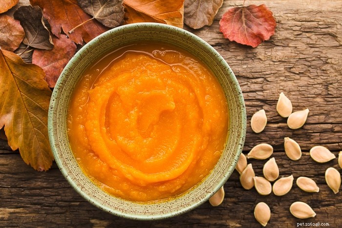 Is Pumpkin Safe for Dogs? Expert Nutrition Tips