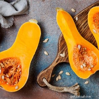 Is Butternut Squash Safe for Guinea Pigs? A Comprehensive Guide