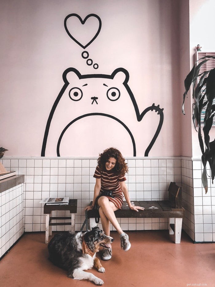 Understanding Rapid Breathing in Dogs: Causes, Symptoms, and When to Seek Veterinary Care