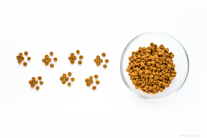 How Long Can a Cat Survive Without Food? Expert Guide
