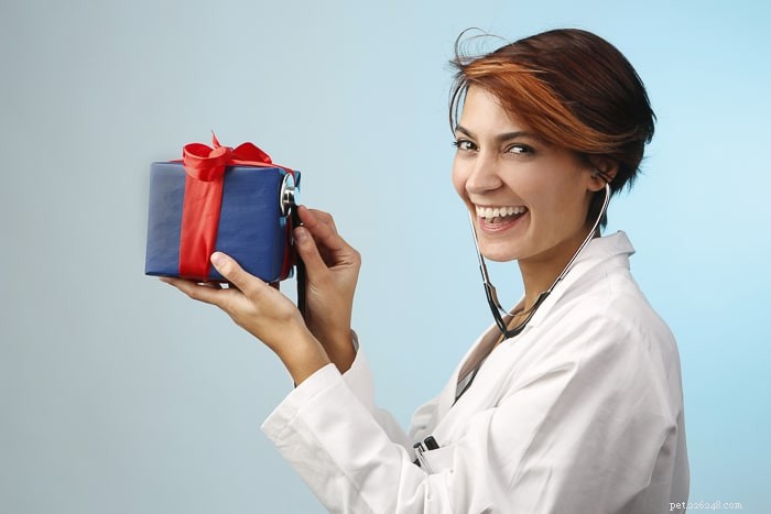 Top Holiday Gifts for Veterinarians & Vet Students: Practical & Thoughtful Ideas