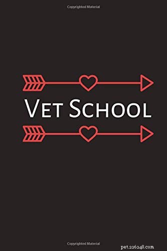 Top Holiday Gifts for Veterinarians & Vet Students: Practical & Thoughtful Ideas