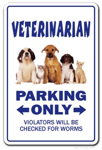 Top Holiday Gifts for Veterinarians & Vet Students: Practical & Thoughtful Ideas