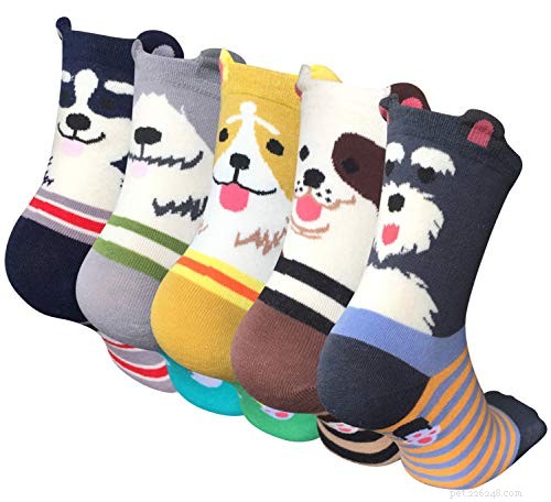 Top Holiday Gifts for Veterinarians & Vet Students: Practical & Thoughtful Ideas