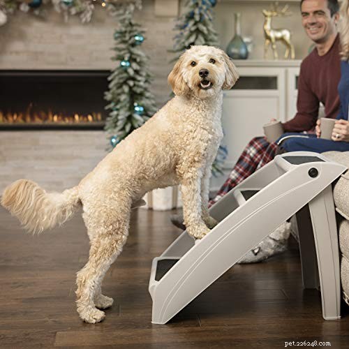 Pet Holiday: The Ultimate Guide to Making the Holidays Stress‑Free for You and Your Furry Friends