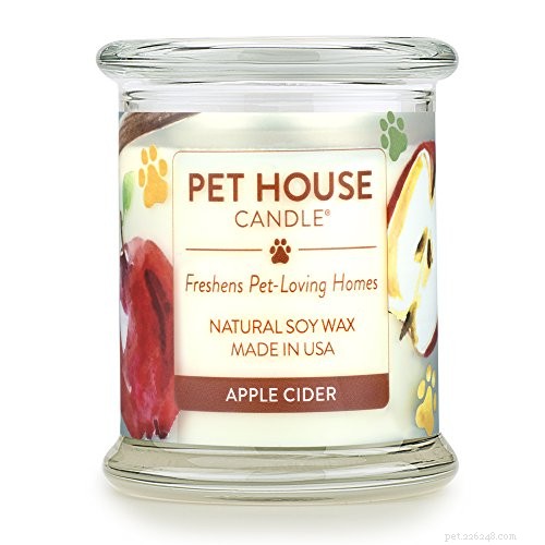 Pet Holiday: The Ultimate Guide to Making the Holidays Stress‑Free for You and Your Furry Friends
