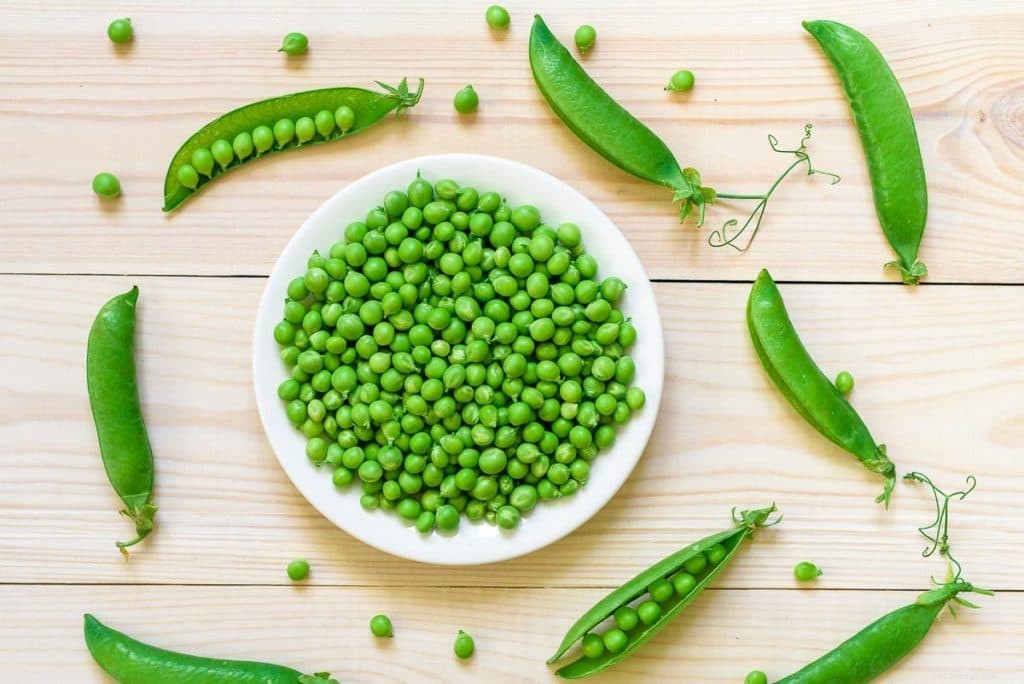 Are Sugar Snap Peas Safe for Guinea Pigs? Expert Vet Guide