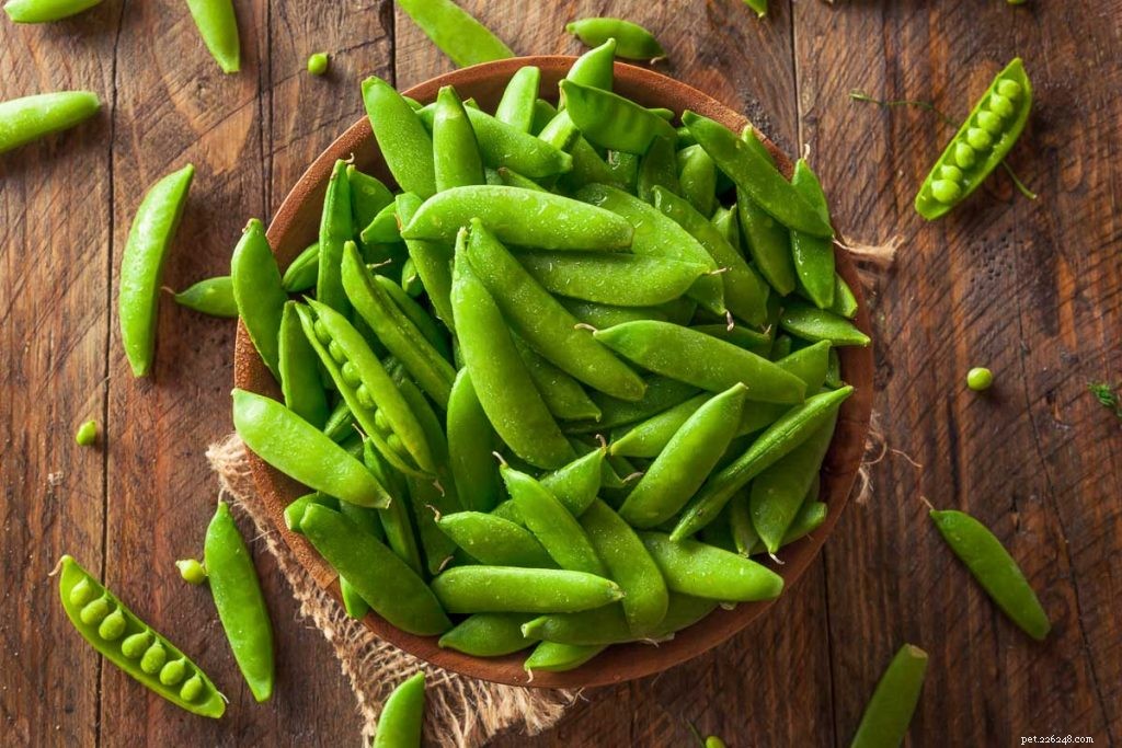 Are Sugar Snap Peas Safe for Guinea Pigs? Expert Vet Guide