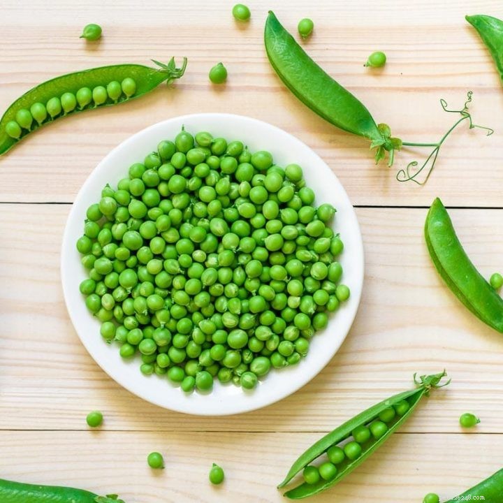 Are Sugar Snap Peas Safe for Guinea Pigs? Expert Vet Guide