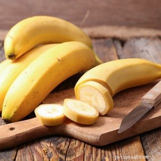 Are Bananas Safe for Hamsters? Nutritional Insights & Feeding Tips