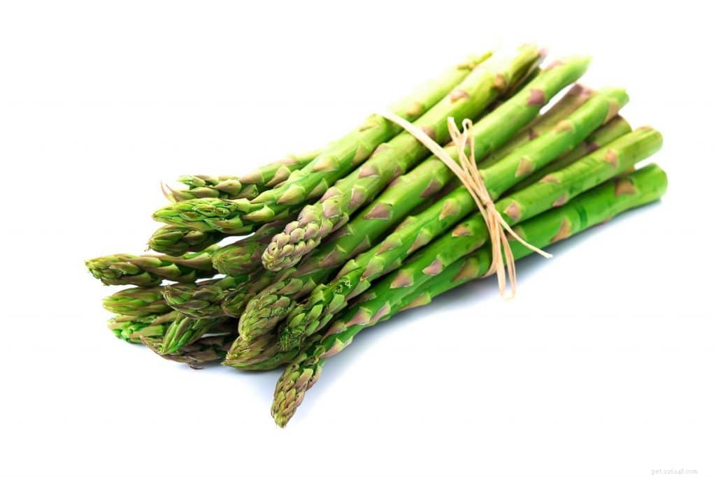 Is Asparagus Safe for Guinea Pigs? A Comprehensive Guide