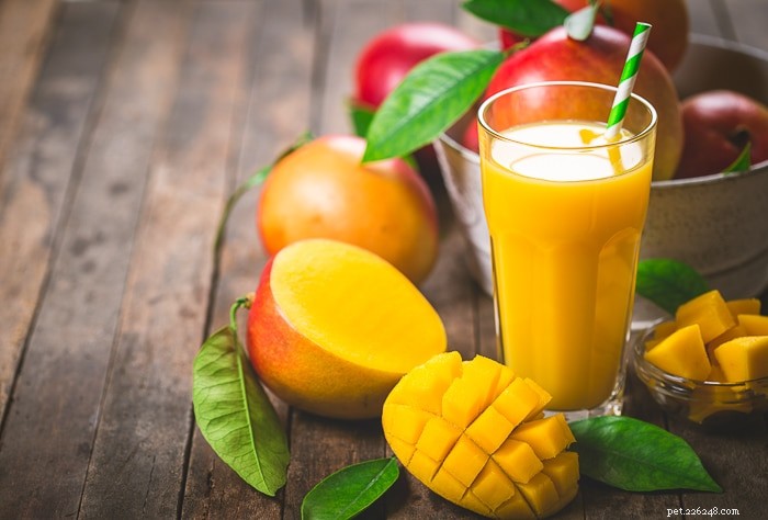 Are Mangoes Safe for Rabbits? A Nutritional Guide
