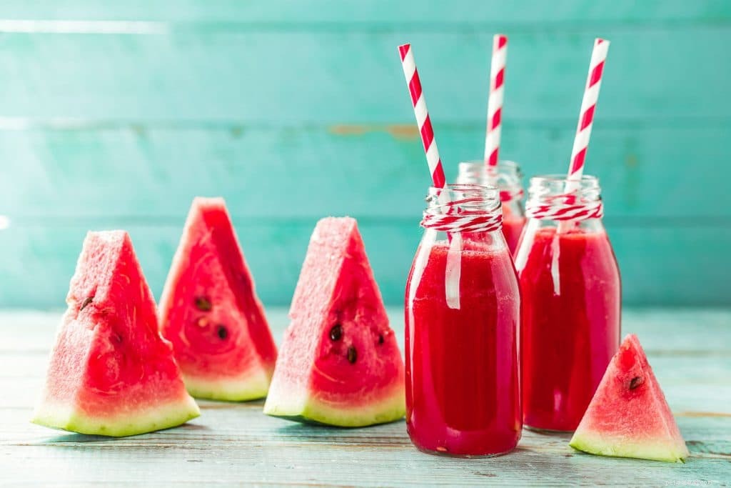 Can Rabbits Safely Eat Watermelon? Expert Advice & Feeding Guidelines