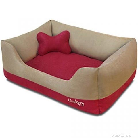 Why Dogs Scratch Their Beds: Signs, Causes, and How to Help