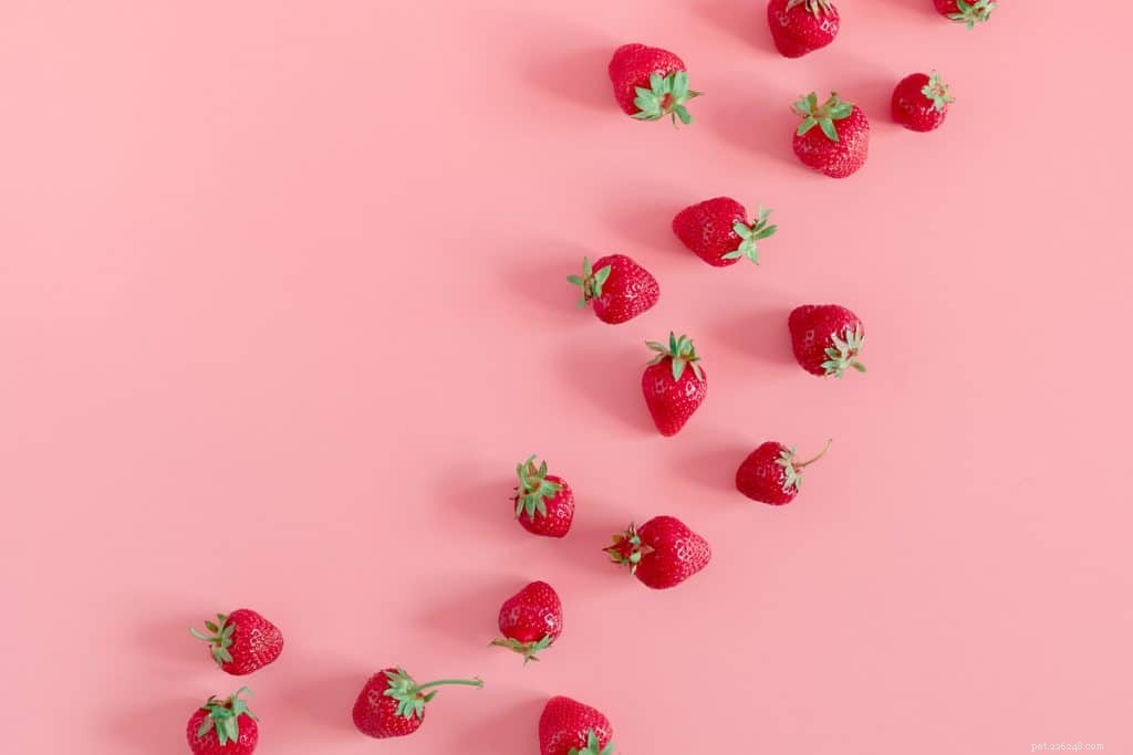 Are Strawberries Safe for Hamsters? Find Out!