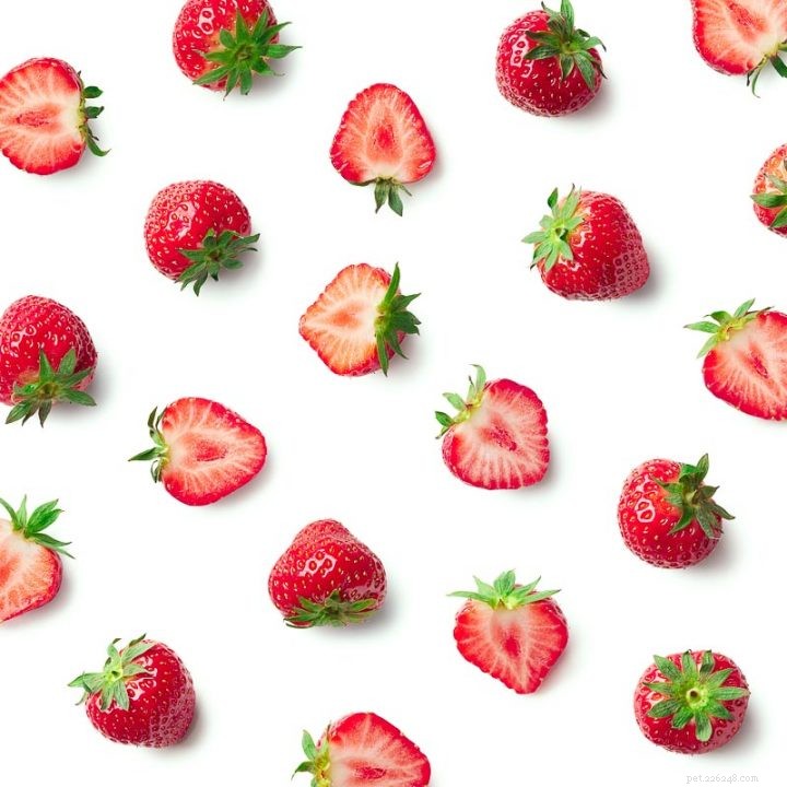 Are Strawberries Safe for Hamsters? Find Out!