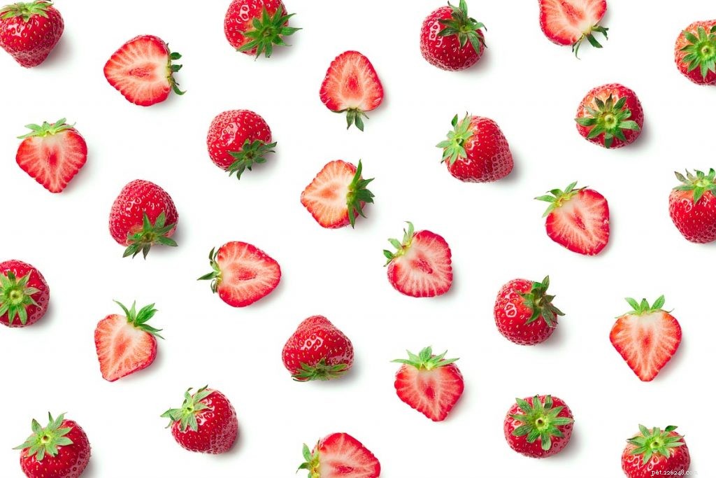 Are Strawberries Safe for Rabbits? Health Tips & Serving Guide