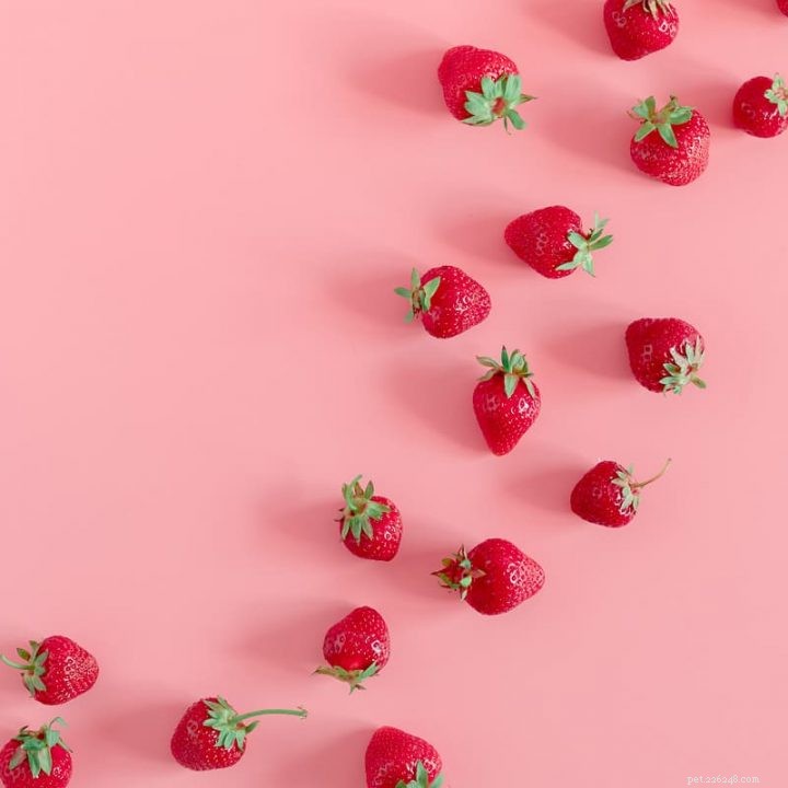 Are Strawberries Safe for Rabbits? Health Tips & Serving Guide