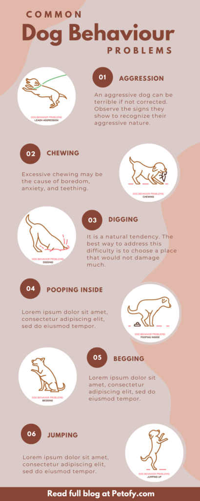 Understanding and Resolving Common Dog Behavior Problems
