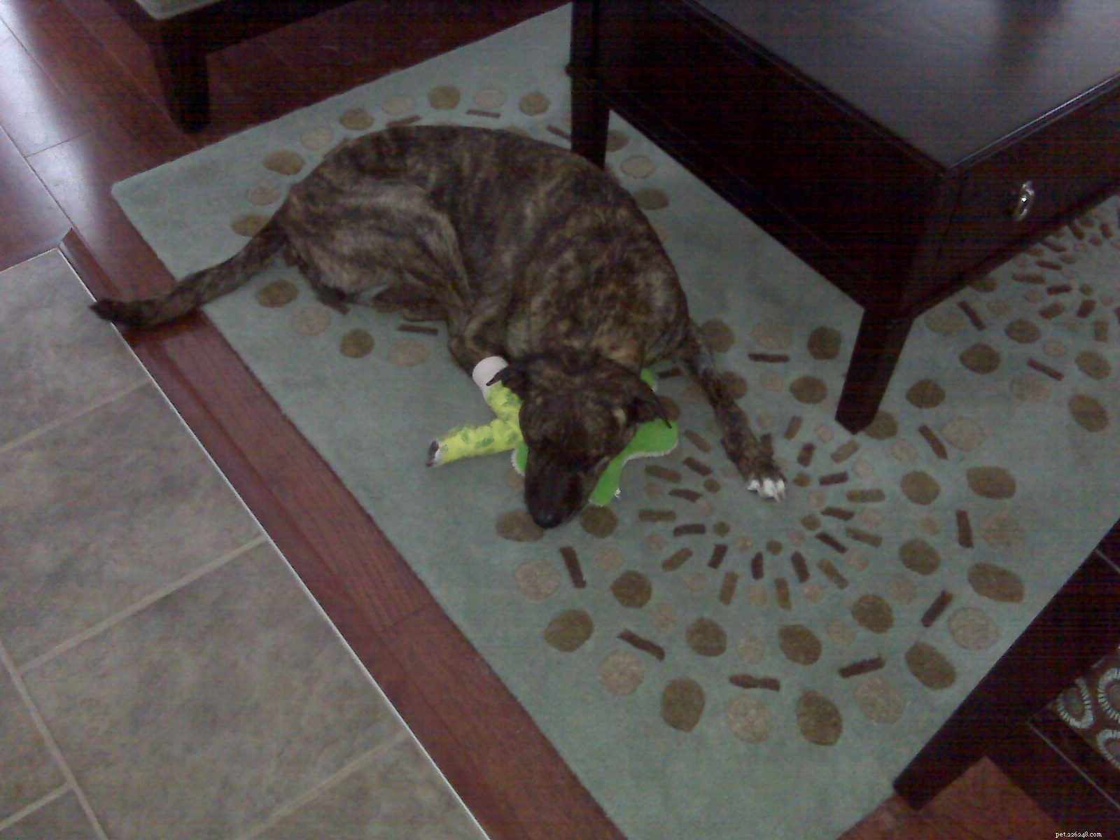 Emmett s Diagnosis: Facing a Nerve Sheath Tumor with Hope