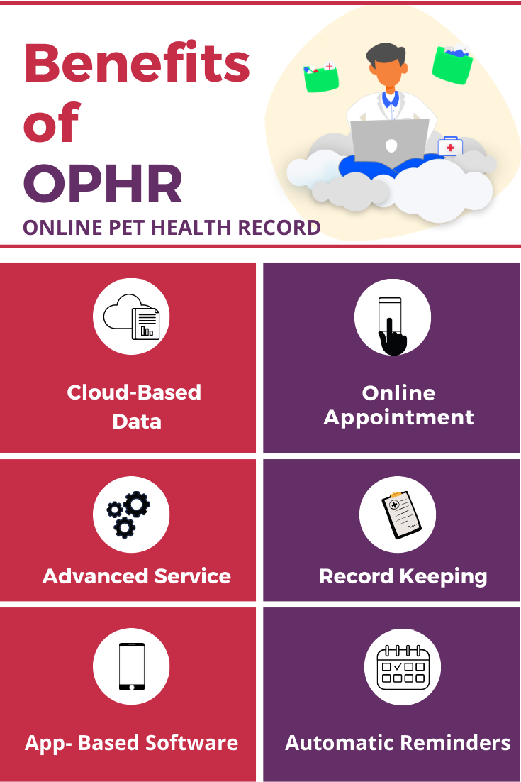 Revolutionizing Veterinary Practice with Digital Technology