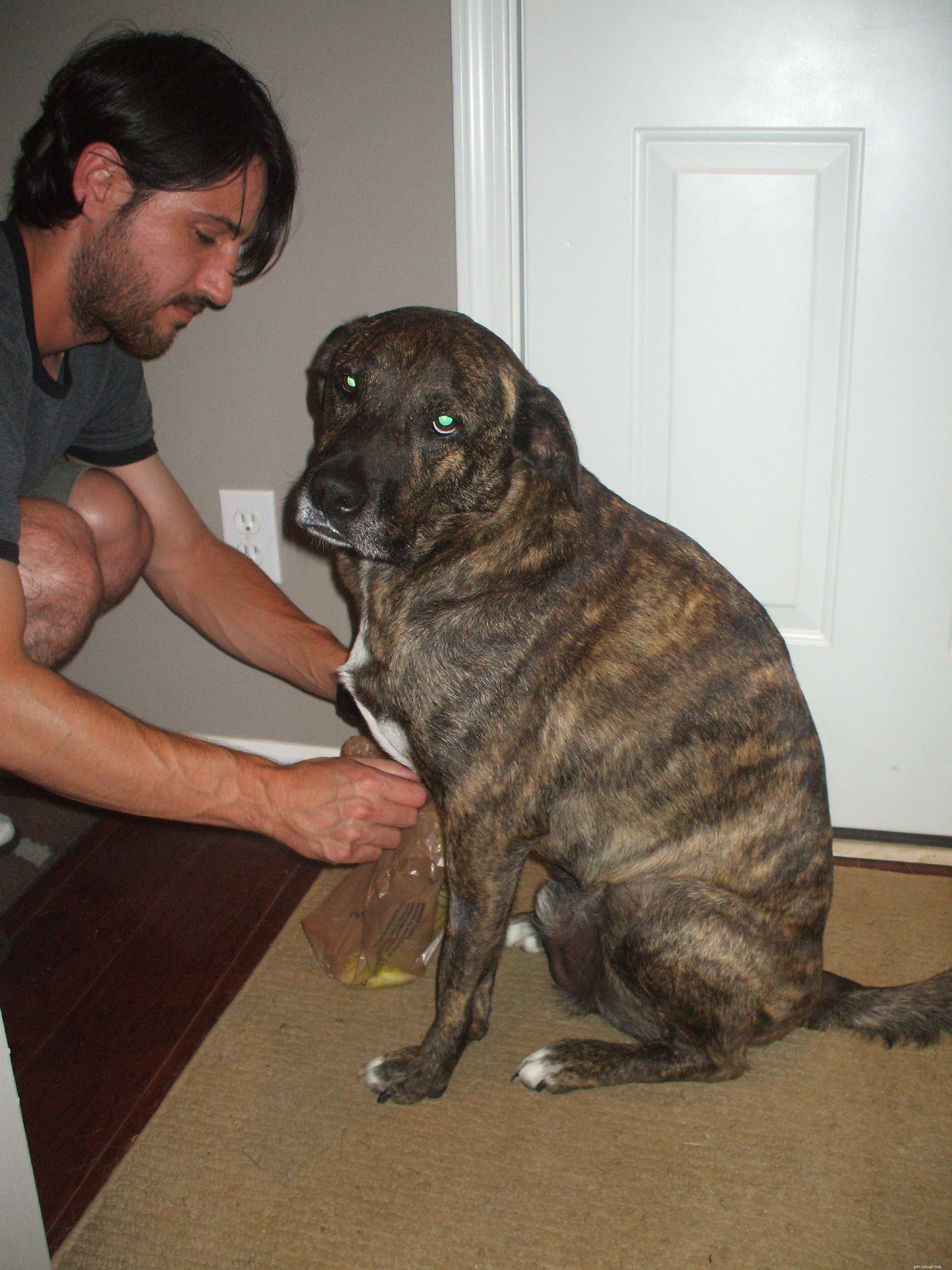 Update on Emmett s Post-Operative Recovery