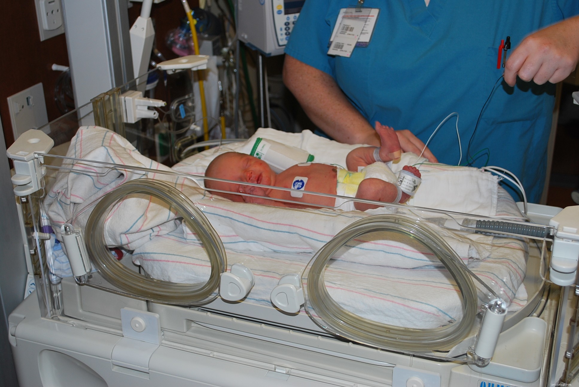 Family Highlights: New Baby, Visits & Weekly Updates