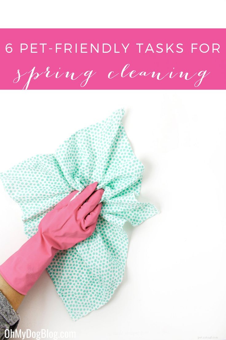 6 Dog-Friendly Spring Cleaning Tasks to Keep Your Home Fresh and Healthy