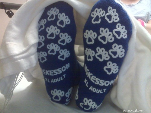 Heartwarming Journey: Hospital Socks, Dog Love, and the Power of Pawprints