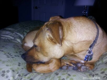 Reflecting on Exhaustion: A Personal Update
