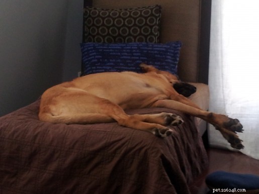 Reflecting on Exhaustion: A Personal Update