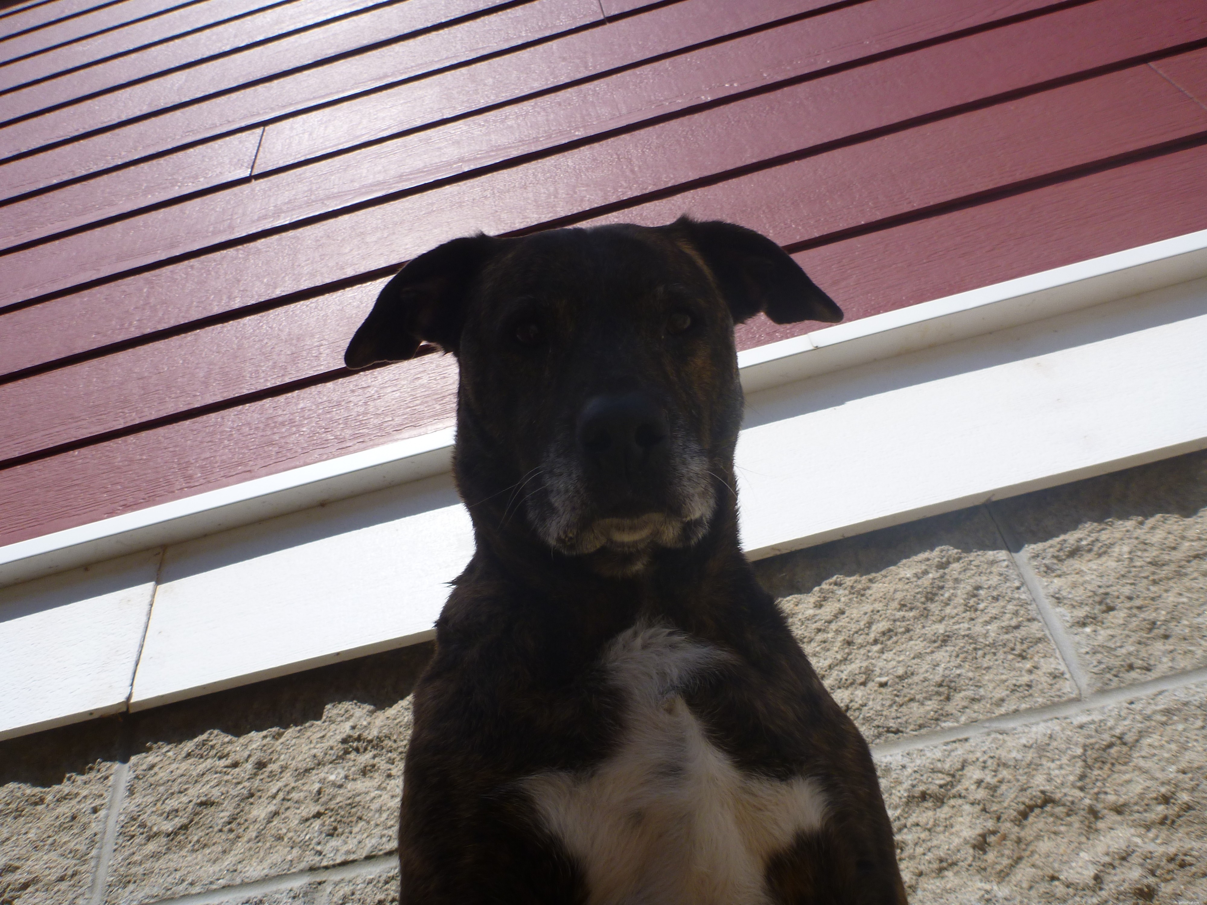 Maggie s Recovery Journey: Updates on Treatment and Wellness