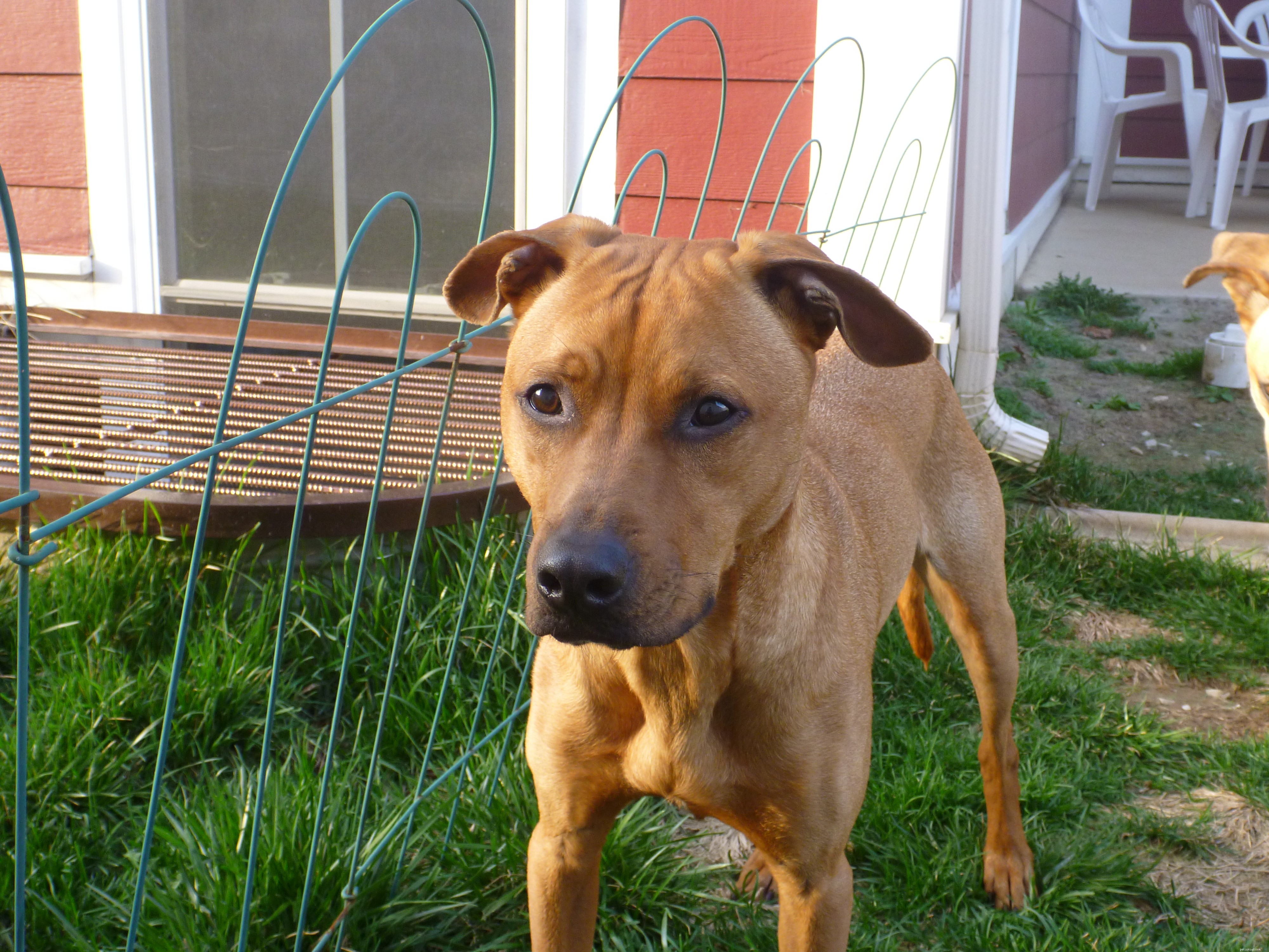 Maggie s Recovery Journey: Updates on Treatment and Wellness